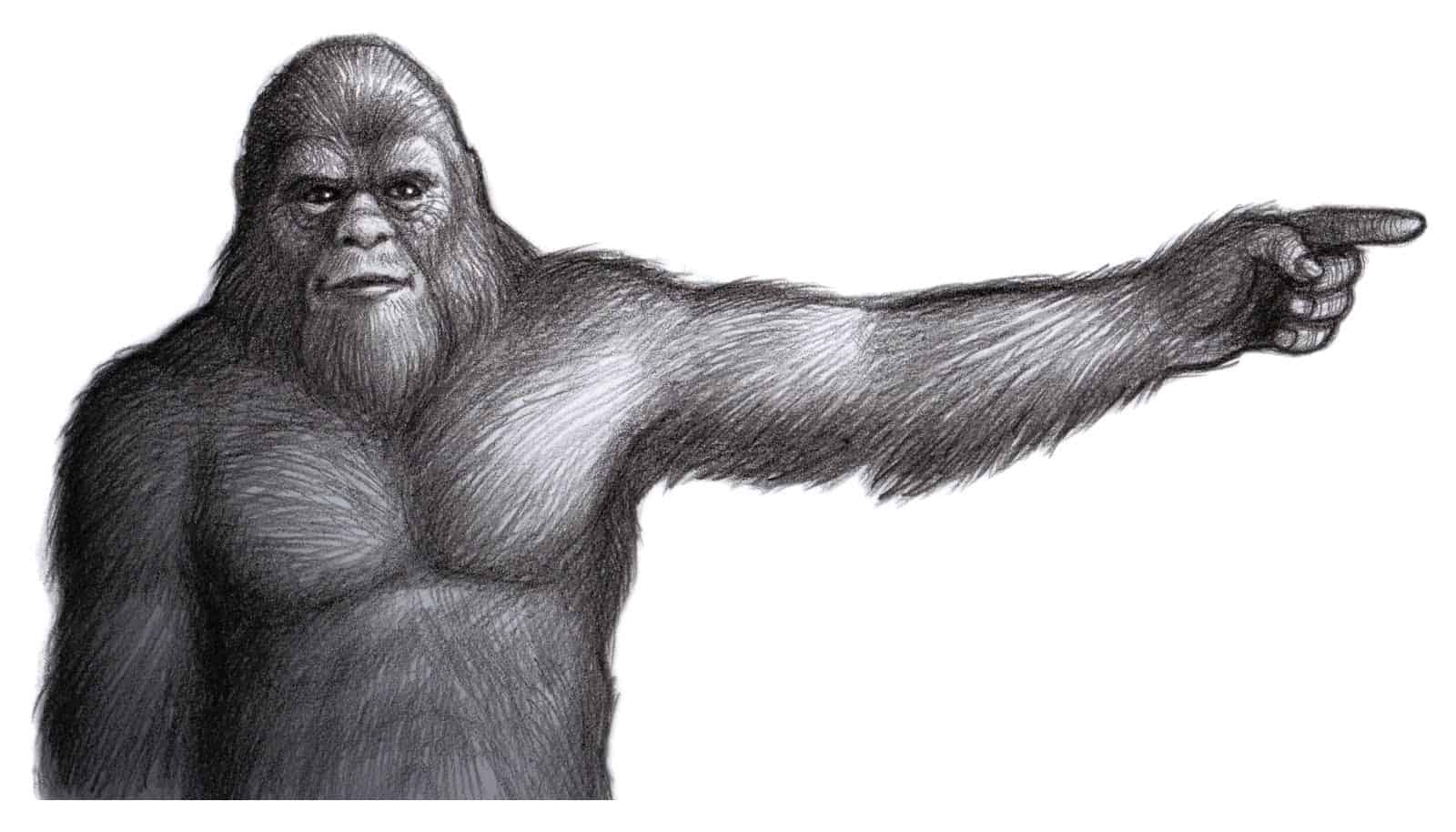Bigfoot illustration by Rick Spears
