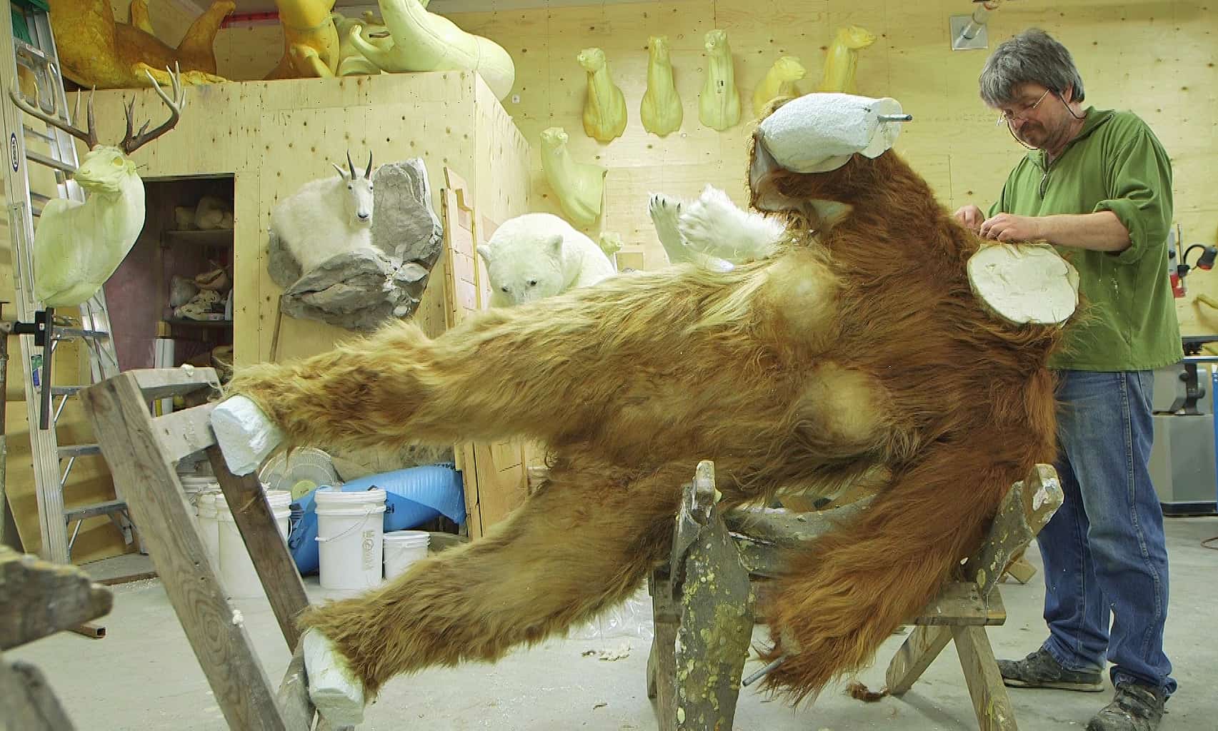 Ken Walker sews up Patty's hide in the movie Big Fur. Image courtesy of Big Fur director Dan Wayne.